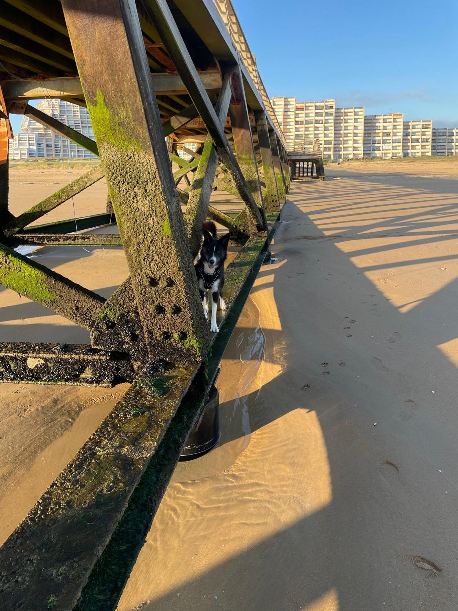The Spot - 200M De La Plage Saint-Hilaire-de-Riez Luaran gambar